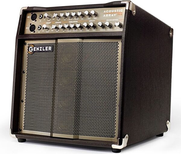 Genzler Acoustic Array PRO Acoustic Guitar Amplifier (150 Watts, 1x10"), Blemished, Angled Front