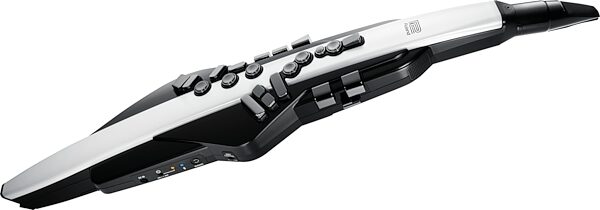 Roland AE-20 Aerophone Wind Instrument, New, Action Position Back
