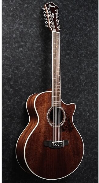 Ibanez AE2412 12-String Acoustic-Electric Guitar, View