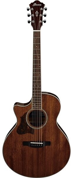 Ibanez AE245L Acoustic-Electric Guitar, Left-Handed, Main