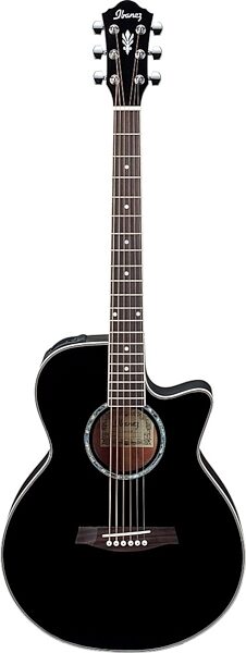 Ibanez AEG10 Acoustic-Electric Guitar with Fishman Pickup, Black