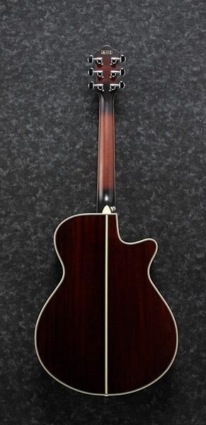 Ibanez AEG19LII Acoustic-Electric Guitar, Left Handed, Main Back