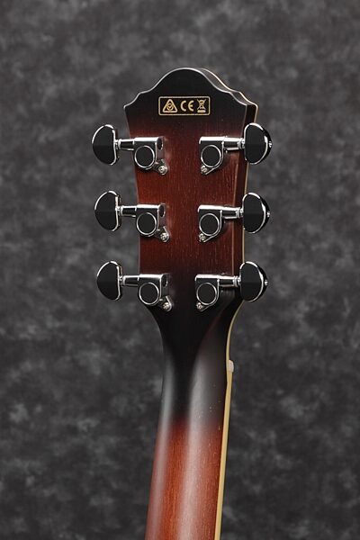Ibanez AEG19LII Acoustic-Electric Guitar, Left Handed, Rear detail Headstock