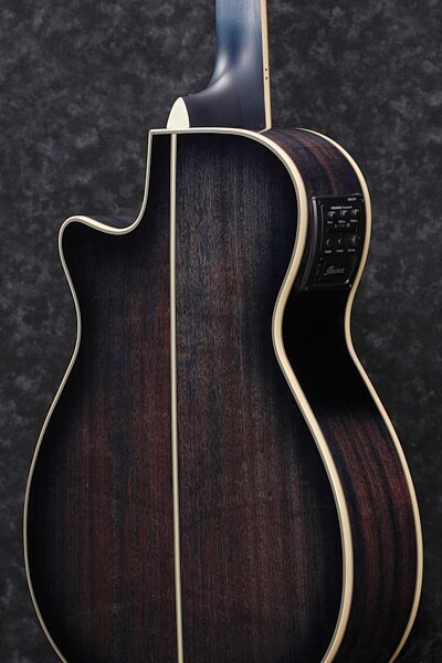 Ibanez AEG20II Acoustic-Electric Guitar, Angled Back