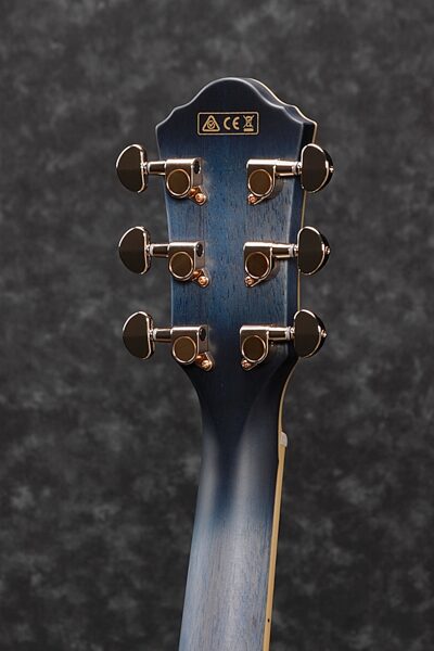 Ibanez AEG20II Acoustic-Electric Guitar, Rear detail Headstock