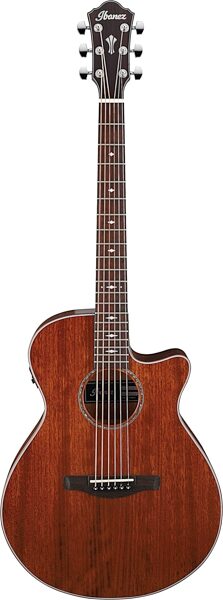 Ibanez AEG220 Acoustic-Electric Guitar, Action Position Back