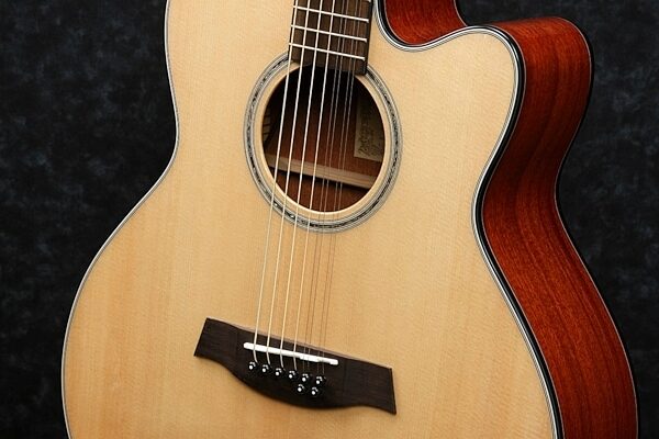Ibanez AEL108TD Acoustic-Electric Guitar, 8-String, Bridge