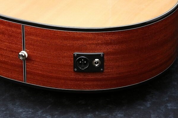 Ibanez AEL108TD Acoustic-Electric Guitar, 8-String, Output