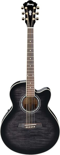 Ibanez AEL20E AEL Cutaway Acoustic-Electric Guitar, Transparent Black Sunburst