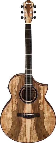 Ibanez AEW16LTD Acoustic-Electric Guitar, Main