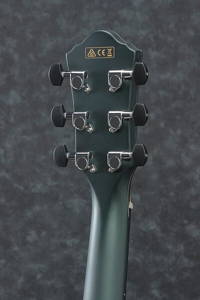 Ibanez AEWC10 Artwood Exotic Acoustic-Electric Guitar, Rear detail Headstock