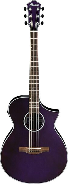 Ibanez AEWC10 Artwood Exotic Acoustic-Electric Guitar, Main