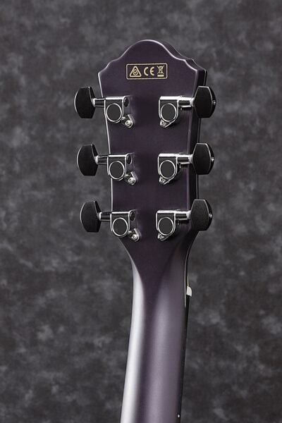 Ibanez AEWC10 Artwood Exotic Acoustic-Electric Guitar, Rear detail Headstock