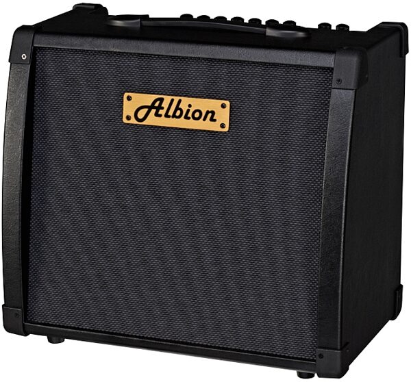 Albion AG40DFX Guitar Combo Amplifier (40 Watts), Left