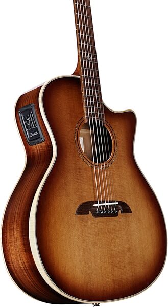 Alvarez AGA95CEARSHB Artist Elite Grand Auditorium Acoustic-Electric Guitar, Action Position Back
