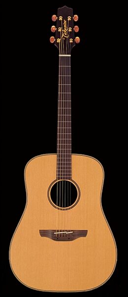 Takamine AN10 Acoustic Guitar, Natural