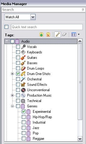 Sony Acid Loop-Based Composition Software (Windows), Media Manager 2