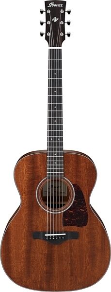 Ibanez AVC9 Artwood Vintage Acoustic Guitar, Main