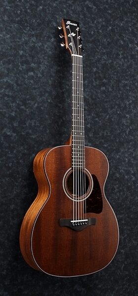 Ibanez AVC9 Artwood Vintage Acoustic Guitar, View 1
