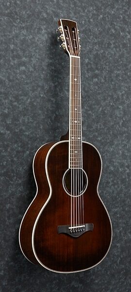 Ibanez AVN10 Artwood Vintage Parlor Acoustic Guitar, View 1