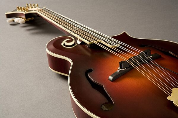 Fishman M300 Nashville Series Archtop Mandolin Pickup, New, Example