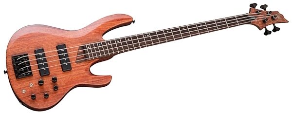 ESP LTD B1004SE NS Electric Bass, Bubinga Angle