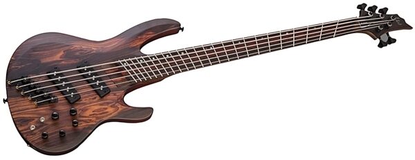 ESP LTD B-1005SE MS Multi Scale Electric Bass, 5-String, Swamp Ash Angle