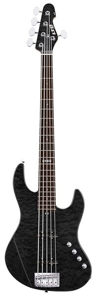 ESP LTD Elite J5 Electric Bass, 5-String (with Case), See Thru Black
