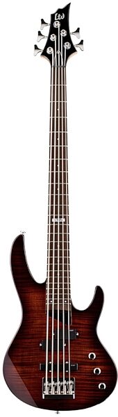 ESP LTD B-55FM Electric Bass, 5-String, Dark Brown Sunburst