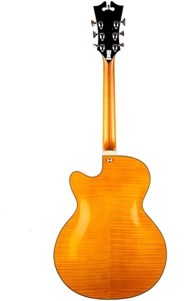 D'Angelico EX-175 Hollowbody Electric Guitar (with Case), Natural - Back