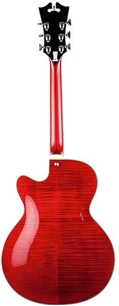 D'Angelico EX-175 Hollowbody Electric Guitar (with Case), Cherry - Back