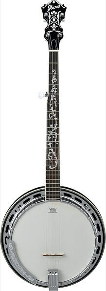 Ibanez B300 Banjo, Main