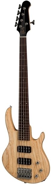 Gibson 2019 EB5 Traditional Electric Bass, 5-String (with Gig Bag), Main