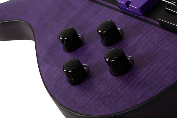 Schecter C-4 GT Electric Bass, Left-Handed, Action Position Back