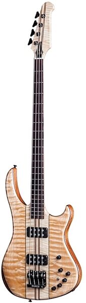 Gibson 2015 V Electric Bass (with Case), Main