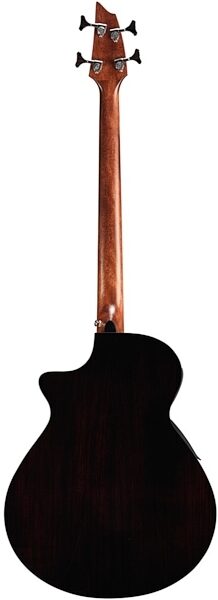 Breedlove Solo Fretless II Bass Acoustic-Electric Bass (with Gig Bag), Alt