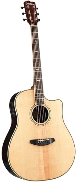 Breedlove Stage Dreadnought Acoustic-Electric Guitar (with Gig Bag), Alt
