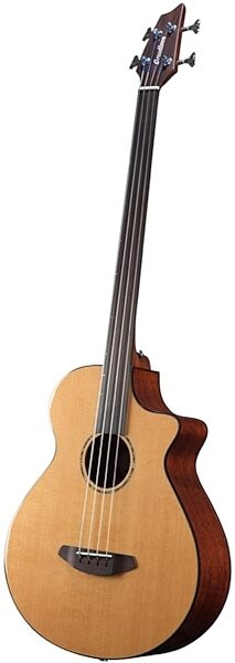 Breedlove Solo Fretless Acoustic-Electric Bass (with Gig Bag), Main