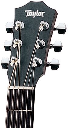 Taylor Baby Taylor 3/4-Size Acoustic Guitar (with Gig Bag), Headstock