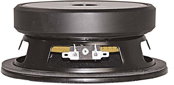 Eminence BETA-6A PA Speaker (350 Watts, 6.5"), 8 Ohms, Action Position Back