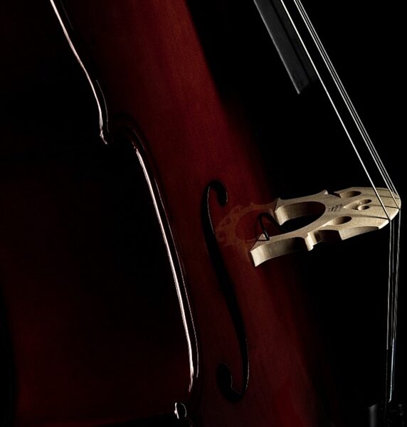 Fishman C200CE Classic Series Cello Pickup, New, Alt