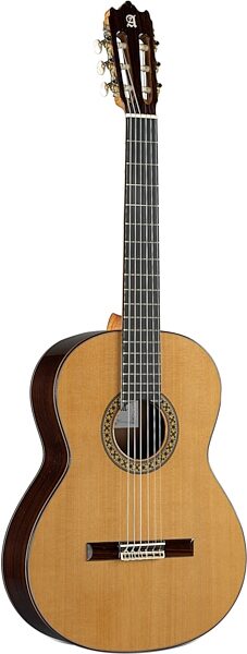 Alhambra 4-P Conservatory Classical Guitar (with Gig Bag), Action Position Back