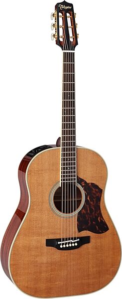 Takamine CRN-TS1 Slope Shoulder Dreadnought Acoustic-Electric Guitar (with Case), Action Position Back