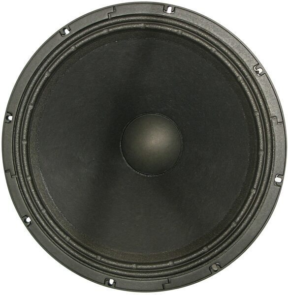 Celestion FTR183060F Subwoofer Replacement Speaker (800 Watts, 18"), Front