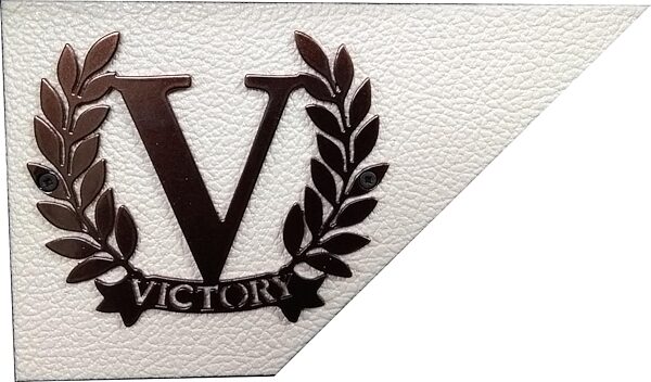 Victory 212/112 Speaker Cabinet Conversion Kit, Brown Panel, Cream Logo, Copper, Action Position Back