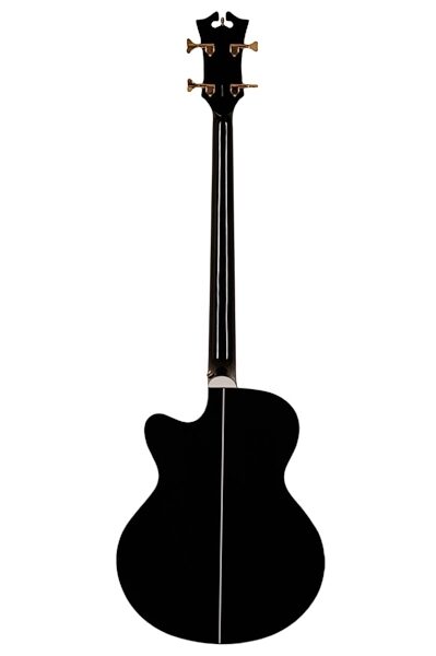 D'Angelico SBG700 Mott Acoustic-Electric Bass (with Case), Black Back