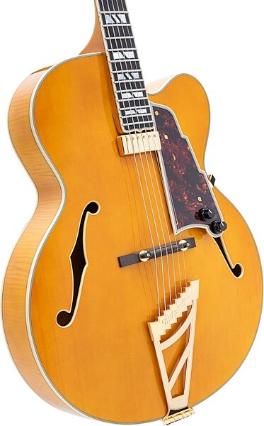 D'Angelico EXL-1 Excel Archtop Electric Guitar (with Case), Amber, Action Position Back