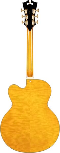 D'Angelico EXL-1 Excel Archtop Electric Guitar (with Case), Amber, Action Position Back