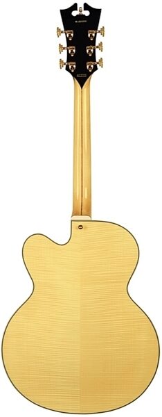 D'Angelico Excel EXL-1 Archtop Hollowbody Electric Guitar (with Case), Back