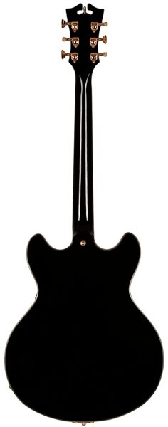 D'Angelico EXDCTP Semi-Hollowbody Electric Guitar (with Case), Black Back